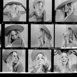 katemoorephoto profile picture