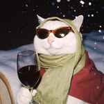 kateryna_dolga profile picture