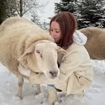 katharinawallen profile picture
