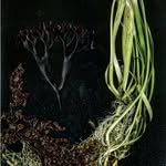 katherinegoguen profile picture