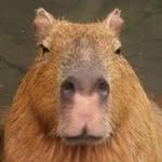 katsuhito.watanabe profile picture