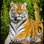 kausarshaikh.kausarshaikh profile picture
