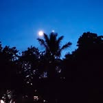 kaushal__patel__jaiswal__kurmi profile picture