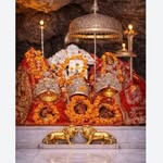 kaushik_prachii13 profile picture