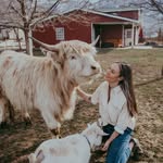 kaylasfurherd profile picture