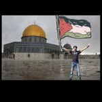 kazaafridi804 profile picture