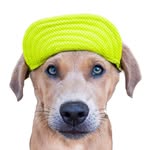 keepingfinn profile picture