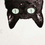 keianh profile picture