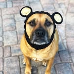 kellerdoghouse profile picture