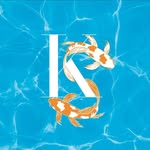 kelleyswimla profile picture