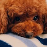 kellybbbbbbc profile picture