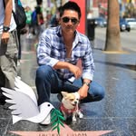 ken_luong80 profile picture