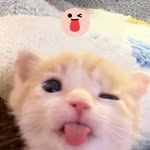 kerlynsegura_13 profile picture