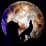 keshvi_parihar profile picture