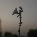 ketannn__45 profile picture
