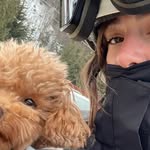 ketoshavdia profile picture