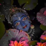 ketzal_coatl profile picture