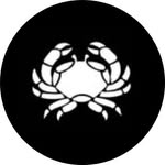 keybiscayneargentina profile picture