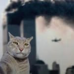 kh.javohir_ profile picture
