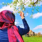 khanz11222 profile picture