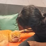 khaopiyo_ash_karo profile picture
