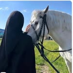 khawe.la34 profile picture