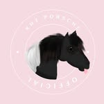kht_porsche_official profile picture