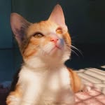 khusi__k.18 profile picture