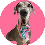 kiara.grandanes profile picture