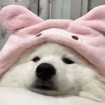 kiara profile picture