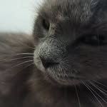 kiky.p.m profile picture