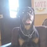 kilmer9742 profile picture