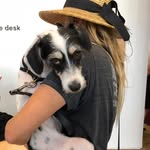 kimmiepollock profile picture