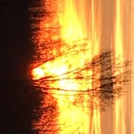 kimmy_lmc profile picture