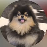 kim_sim_1210 profile picture