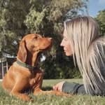 king.tuur.the.vizsla.and.lore profile picture