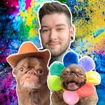 kingchillithepug profile picture