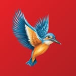 kingfisherworld profile picture