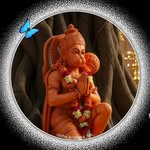 kinghardik539 profile picture