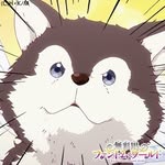 kinghtk profile picture