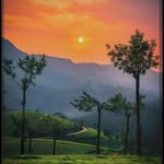 king__of___indian_ profile picture