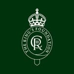 kingsfoundation profile picture