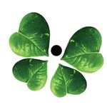 kipepeoindia profile picture