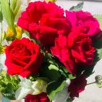 kira.npreet9755 profile picture