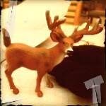kirkc777 profile picture