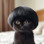 kitt_black profile picture