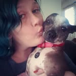kittenvicious profile picture