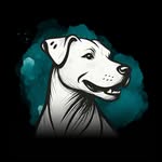 kitthedogtrainer profile picture