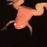 kkanvas profile picture