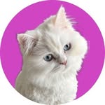 klara_brbr profile picture